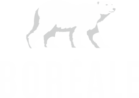 Boréale